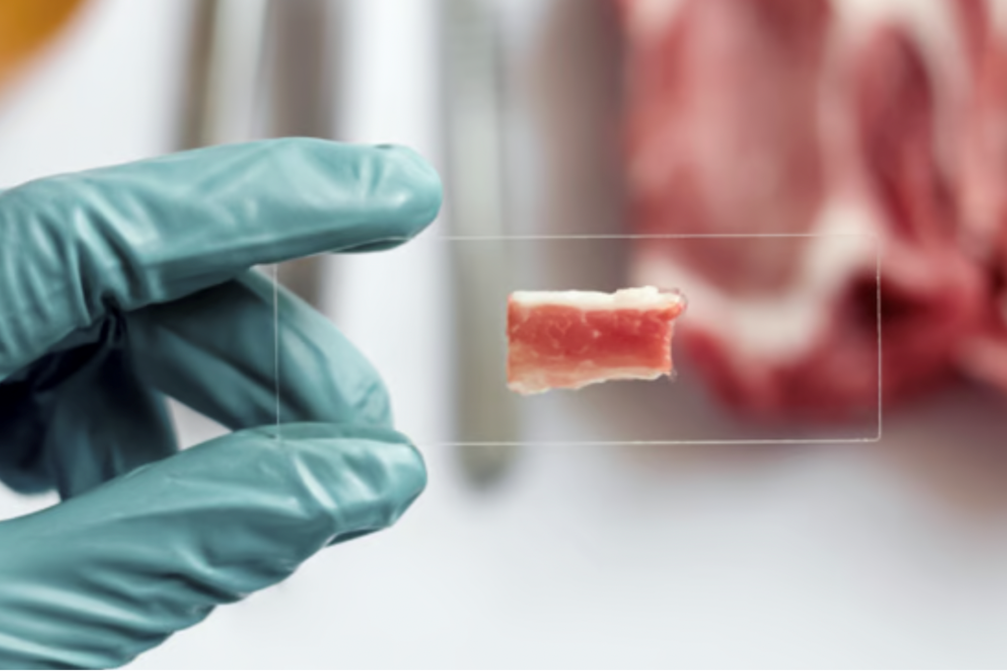 Red Meat Engineering This Deep Tech Firm Is Positioned To Lead the Cultivated Meat ...